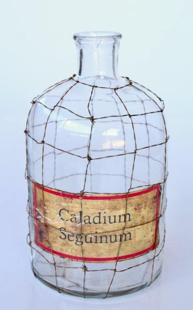 Wire Vintage Glass Bottle With Label